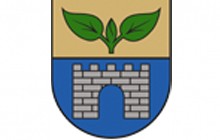 Salaspils district