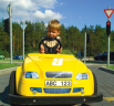 Отдых для семей с детьми в Латвии, Aссоциация туризма Видземе