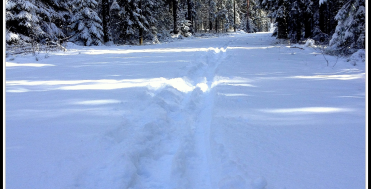 Vidzemes tūrisma asociācija